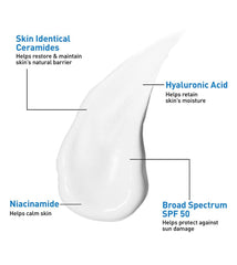 AM Facial Moisturizing Lotion SPF 50
